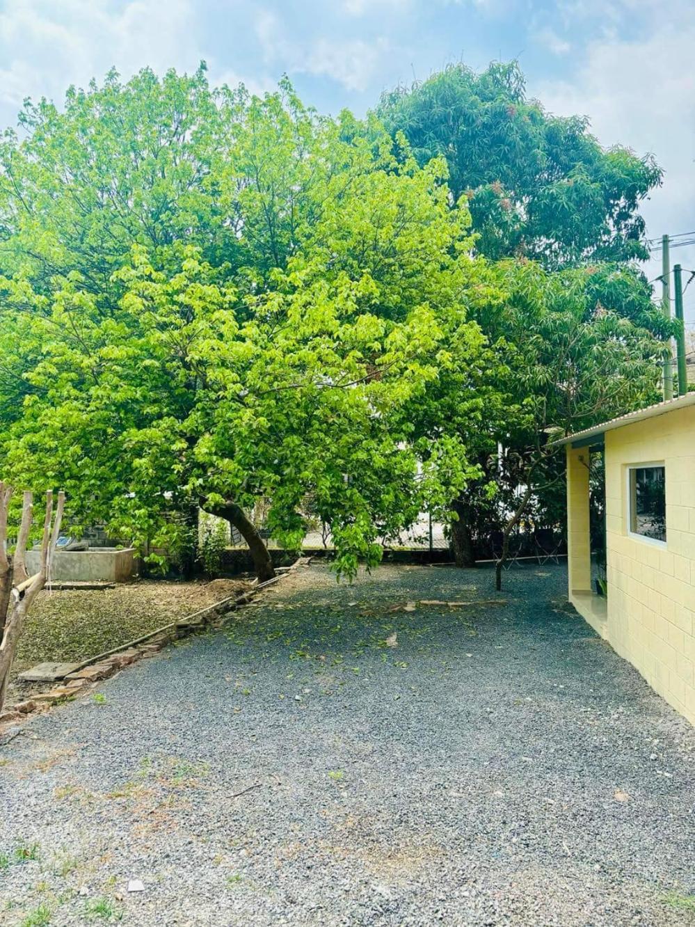 Hostal Camila'S Tamanique Buitenkant foto