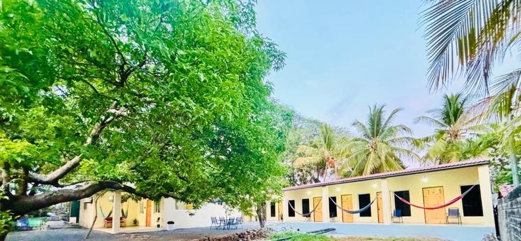 Hostal Camila'S Tamanique Buitenkant foto